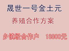 【薦】gd的土元養(yǎng)殖合作_受歡迎的土元養(yǎng)殖合作