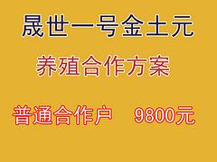 洛陽誠信的土元養(yǎng)殖合作公司，當(dāng)屬晟世養(yǎng)殖農(nóng)業(yè)公司_{yl}的土元