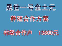 土元養(yǎng)殖電話_【薦】可信的土元養(yǎng)殖合作