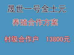 【薦】放心的土元養(yǎng)殖合作_安陽土元養(yǎng)殖合作