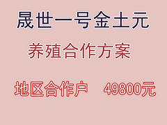 供應(yīng)洛陽xjb高的晟世土元，璧城土元養(yǎng)殖