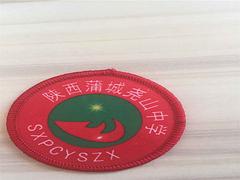 專業(yè)的沙灘褲數(shù)碼印花推薦——沙灘褲數(shù)碼印花加工