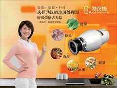 推薦廈門(mén)新品勃漢姆廚房食物垃圾處理器 廣西粉碎機(jī)