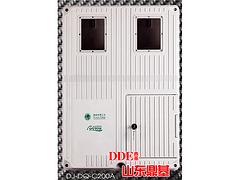 DJ-DQ-C200A電表箱