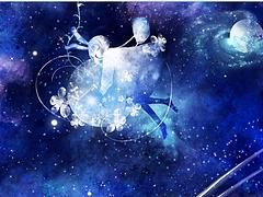 寧德信譽好的湖南香樟基地【推薦】——價位合理的湖南益陽香樟