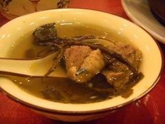 優(yōu)質(zhì)金線蓮報(bào)價(jià)是多少|(zhì)品牌好的金線蓮廠家推薦