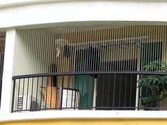 雁山防盜網(wǎng) 桂林創(chuàng)意居安防設(shè)施安裝提供tj靜電噴涂加工服務(wù)，同行中的姣姣者