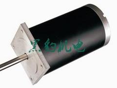 宿遷電機(jī)——蘇州品牌好的BL B1Z-L吸塵器電機(jī)價(jià)格怎么樣