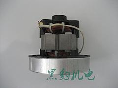 南京電機(jī)_供應(yīng)蘇州品質(zhì)好的BL V1Z-S吸塵器電機(jī)