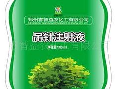 波斯菊種批發(fā)價格：合格的菜種，哪里有賣