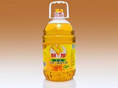 純正花生油廠家|哪兒有可信賴的20L食用調(diào)和油批發(fā)市場