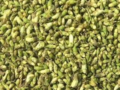 劃算的飼料山楂干供應(yīng)，就在金豐干鮮果品 山楂干生產(chǎn)廠家
