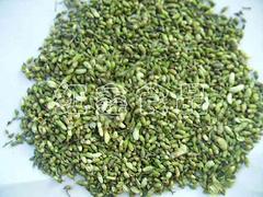采購休閑食品就找金豐干鮮果品 味美價廉的休閑食品