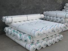 品種好的番茄種子批發(fā)