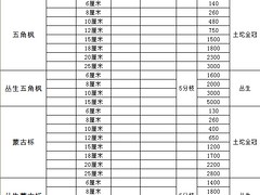 圃地毛白楊，遼寧口碑好的新疆楊供應(yīng)商是哪家