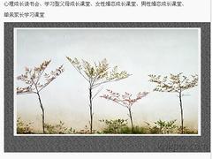 具有口碑的婚姻家庭咨詢公司推薦 海南心理咨詢價(jià)格