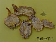 【供應(yīng)】云浮的黃瑪卡 瑪咖片