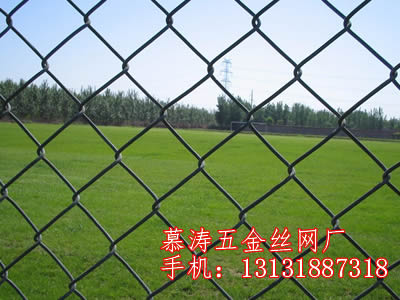 保定菱形網價格 衡水銷量好的浸塑pvc菱形網【特價供應】