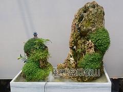 遼寧水族用石 趙氏假山耐用的水族用石【供應】