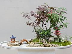 水族用石廠商推薦|江西水族用石