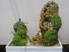 假山石價(jià)格 【廠家直銷】濰坊具有口碑的假山石
