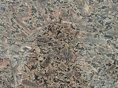 福建灰麻_福建口碑好的炭麻花崗巖供應(yīng)
