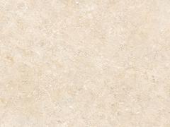 廣東名宇陶瓷 黑金花優質供應商當屬獅王陶瓷