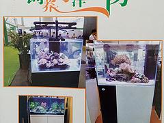 海洋生物魚缸供貨廠家_許昌物超所值的海洋生物魚缸哪里可以買到