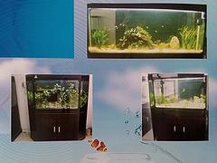 個(gè)性PVC板海水魚(yú)缸_買(mǎi)出色的PVC板海水魚(yú)缸，就到水藍(lán)玻璃制品