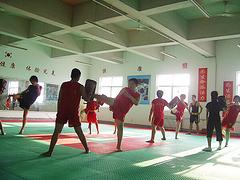 山東專業(yè)的少兒武術培訓   _東營少兒武術學校哪家好