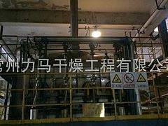 中國中藥浸膏噴干塔_常州哪里有好的ZLPG-200中藥浸膏噴霧干燥塔