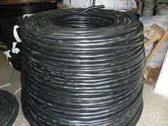 質(zhì)量{yl}的天正電纜在揚州哪里可以買到，價位合理的天正電纜