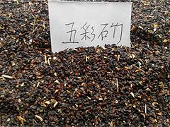 來文霖花卉苗木種植，買熱銷鳶尾蘭——熱銷的鳶尾蘭