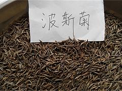 波斯菊種子批發(fā)商||波斯菊種子供應(yīng)商【波斯菊種子批發(fā)價(jià)格】