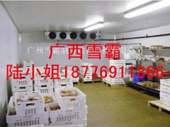 南寧耐用的冷藏保鮮冷庫哪里買——崇左小型冷藏保鮮冷庫