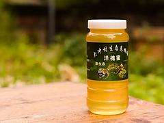 貴陽口碑好的大沖村原生態(tài)洋槐蜜廠家 貴州蜂蜜代理加盟