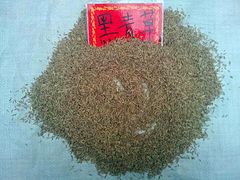 要買刺槐當(dāng)選興盛園林|鄭州林木種子