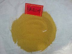草坪型黑麥草代銷——買黑麥草當然是到興盛園林