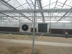 山東優質燃煤鍋爐供應商：優惠的燃煤鍋爐