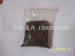 優(yōu)質(zhì)鼠尾草上哪買 種植鼠尾草