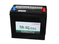 廈門口碑好的駱駝蓄電池，供應駱駝蓄電池
