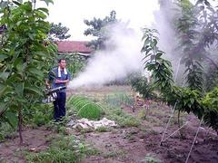 【廠家推薦】質量好的脈沖動力煙霧機出售，脈沖動力煙霧機供應
