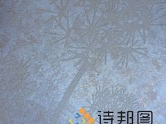 專業(yè)的3D藝術(shù)涂料加盟|口碑好的藝術(shù)涂料供應(yīng)商