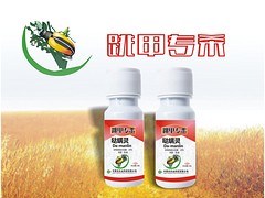 哪里能買到優(yōu)質(zhì)的xj性角斑病{tx}藥——推廣防治角斑病