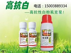 市場上有品質(zhì)的白粉虱{tx}白粉虱白加黑在哪里可以找到，白銀一加一型白粉虱