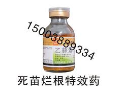 廣東甜菜夜蛾專殺 哪里能買(mǎi)到實(shí)惠的小菜蛾{tx}殺蟲(chóng)劑
