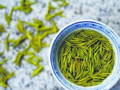 較受歡迎的高山綠茶出售 高山茶價格