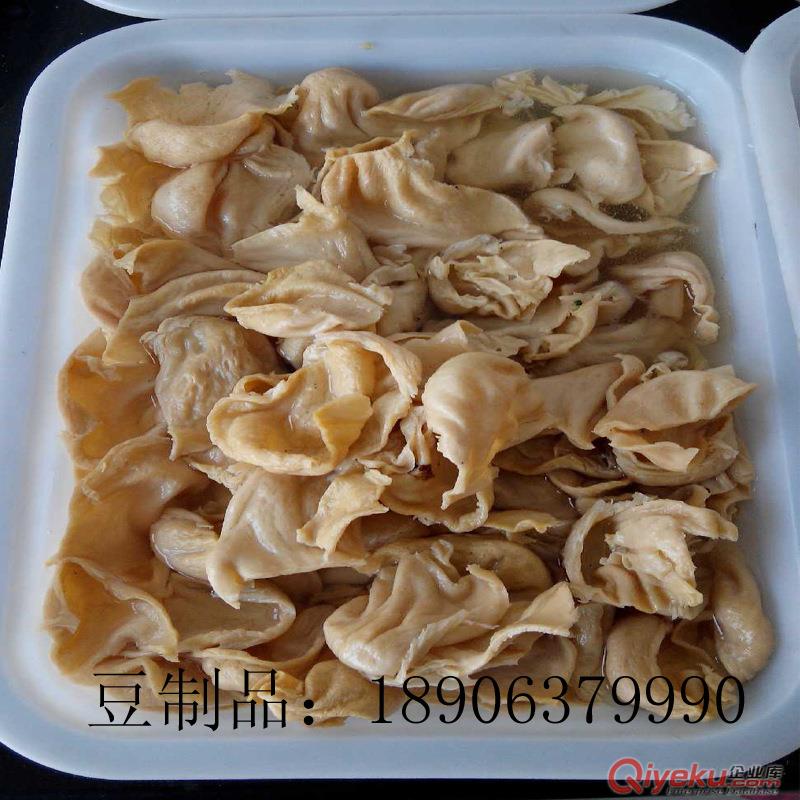 山東豆制品 豆花 豆皮 蛋白肉 人造肉廠家直銷批發(fā)零售干貨豆制品原始圖片2