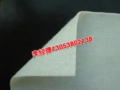 山東瑞亨建材供應新款膨潤防水毯【火熱暢銷】：優質膨潤土防水毯生產廠家