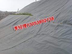 泰安地區(qū)品質(zhì)好的泥鰍養(yǎng)殖土工膜——青島養(yǎng)殖土工膜